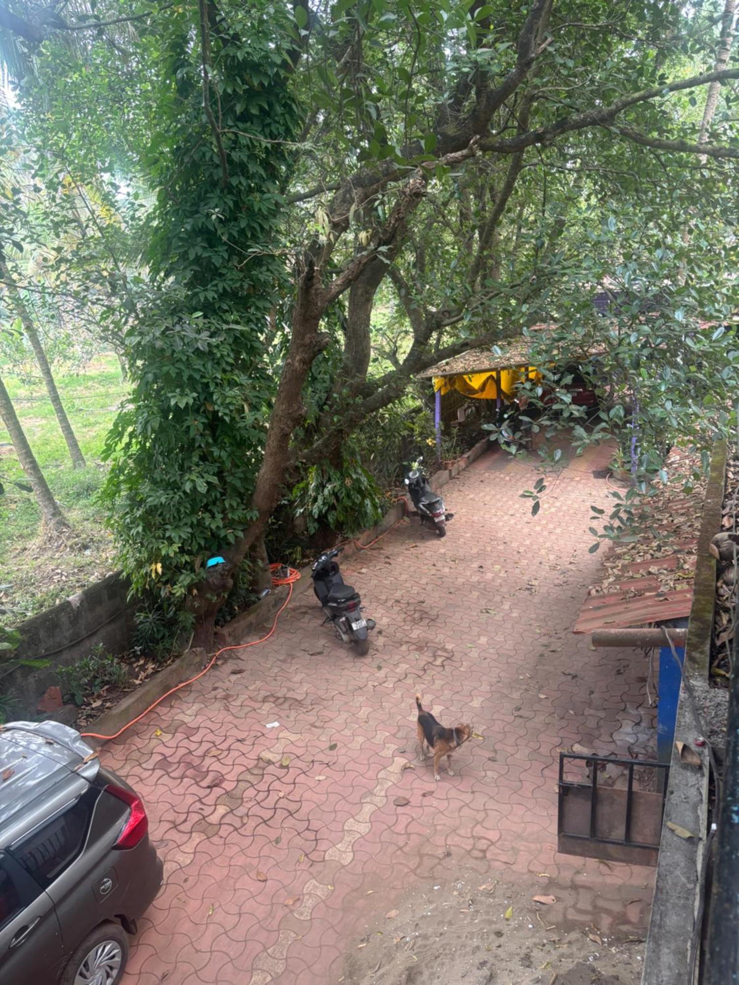 Хостел Tamasha Goa Вагатор Номер фото